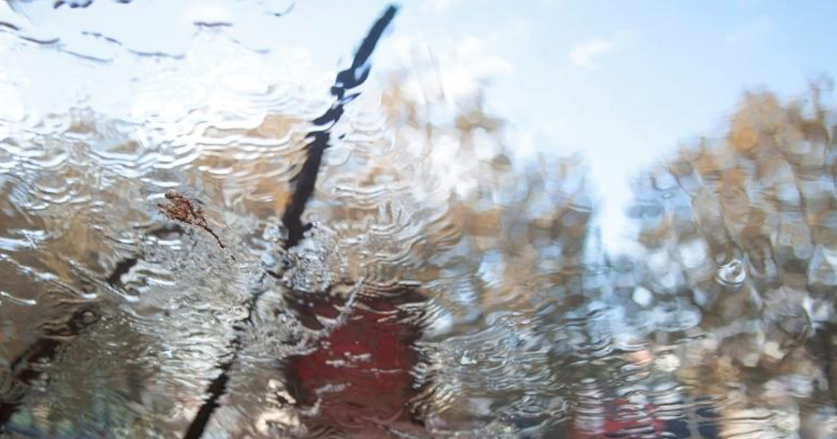 Why Ignoring Wiper Blade Replacement Will Cost You Money